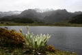 Laguna de Mucubaj: maravilla natural del Estado Mrida
