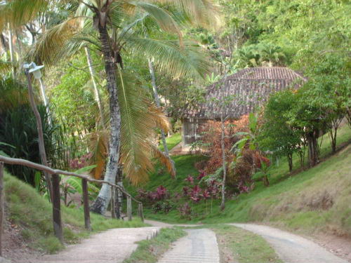 Entrada Posada Playa Uva