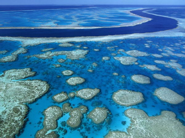 Gran Barrera de Coral