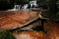 Conozca la Quebrada de Jaspe (Gran Sabana)