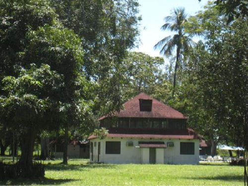 Hato el Cedral