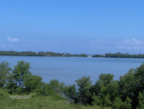 Laguna de Unare