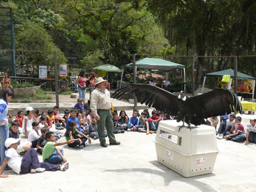 Eventualmente se realizan actividad para que el público conozca más de cerca a los animales Eventualmente se realizan actividad para que el público conozca más de cerca a los animales