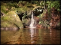 Parque Nacional Guache (Cordillera de los Andes)