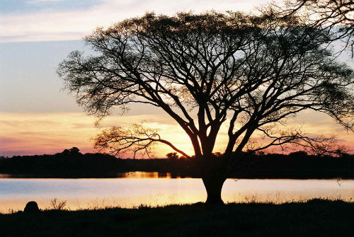 Atardecer desde la orilla de la laguna Atardecer desde la orilla de la laguna