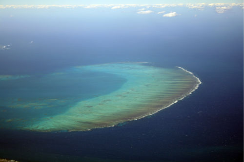 Ribbon Reef