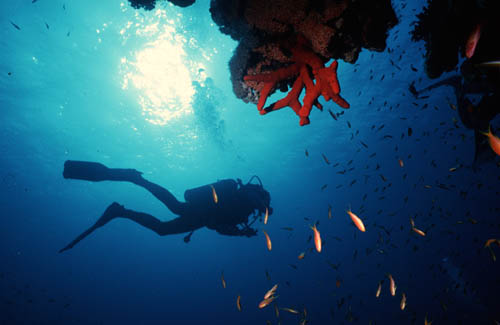 Buceo en Safaga
