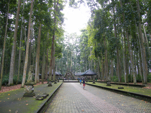 Templo de los Monos