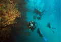 Isla Marchena (Islas Galpagos)