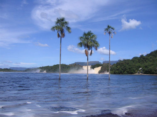 Vista del Campamento Canaima