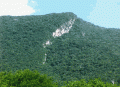 Sierra de San Luis (estado Falcn)