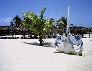 Isla de Coche, La Restinga, Luna de miel en playa el agua, Paria, Playa Colorada, Playas de Margarita, Posada la Playa, Posada Playa Medina, Playa San Luis, Playa Arapito, Playa Colorada, Playa Medina, Playa San Luis, Playa Arapito, Playa Colorada, Playa Medina, Playa Cachamaure, Quetepe, Playa Castillo, Araya, El Yaque, Fotos de Coche, Venezuela
