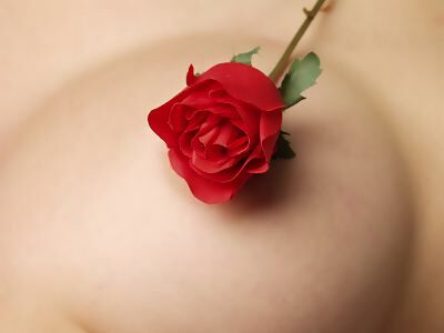 Belleza Belleza