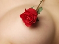 Reflexiones sobre el Amor