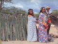 Estudiantes Wayuu se capacitan con Microsoft