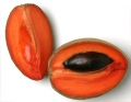 Beneficios y Propiedades del Zapote (blanco, negro, borracho, mamey)